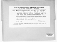 Schizopora paradoxa image